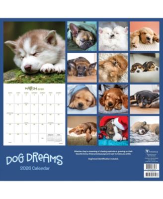 2026 Dog Dreams Wall Calendar