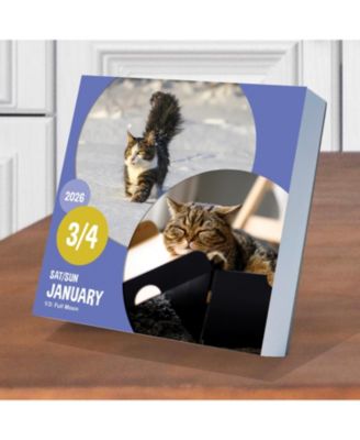2026 Cat A Day Daily Desktop Calendar