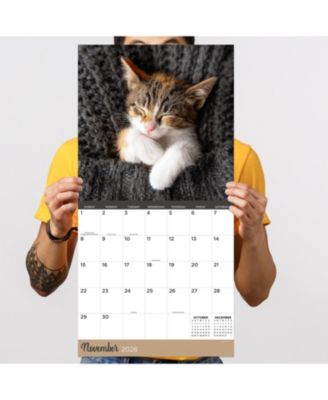 2026 Cat Dreams Wall Calendar
