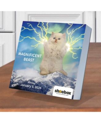 2026 Shoebox Daily Desktop Calendar