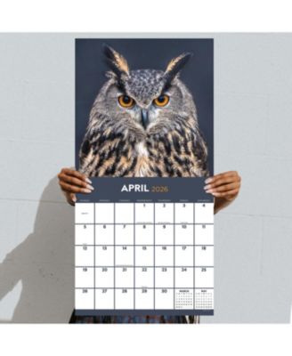 2026 Owls Wall Calendar