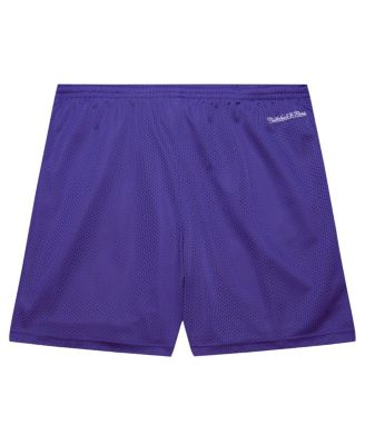 Men's Purple Milwaukee Bucks Hardwood Classics Gameday Mesh Shorts