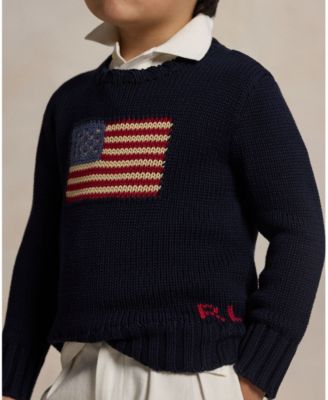 Toddler and Little Boys The Iconic Flag Sweater