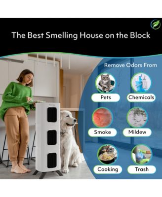 iAdaptAir 2.0 Large – 3,975 Sq Ft Coverage, 5-in-1 Purification, With 530 CFM