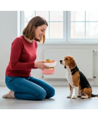 Strawberry Shaped Stoneware Elevated Pet Bowl, Raised Ceramic Food & Water Dish for Dogs and Cats