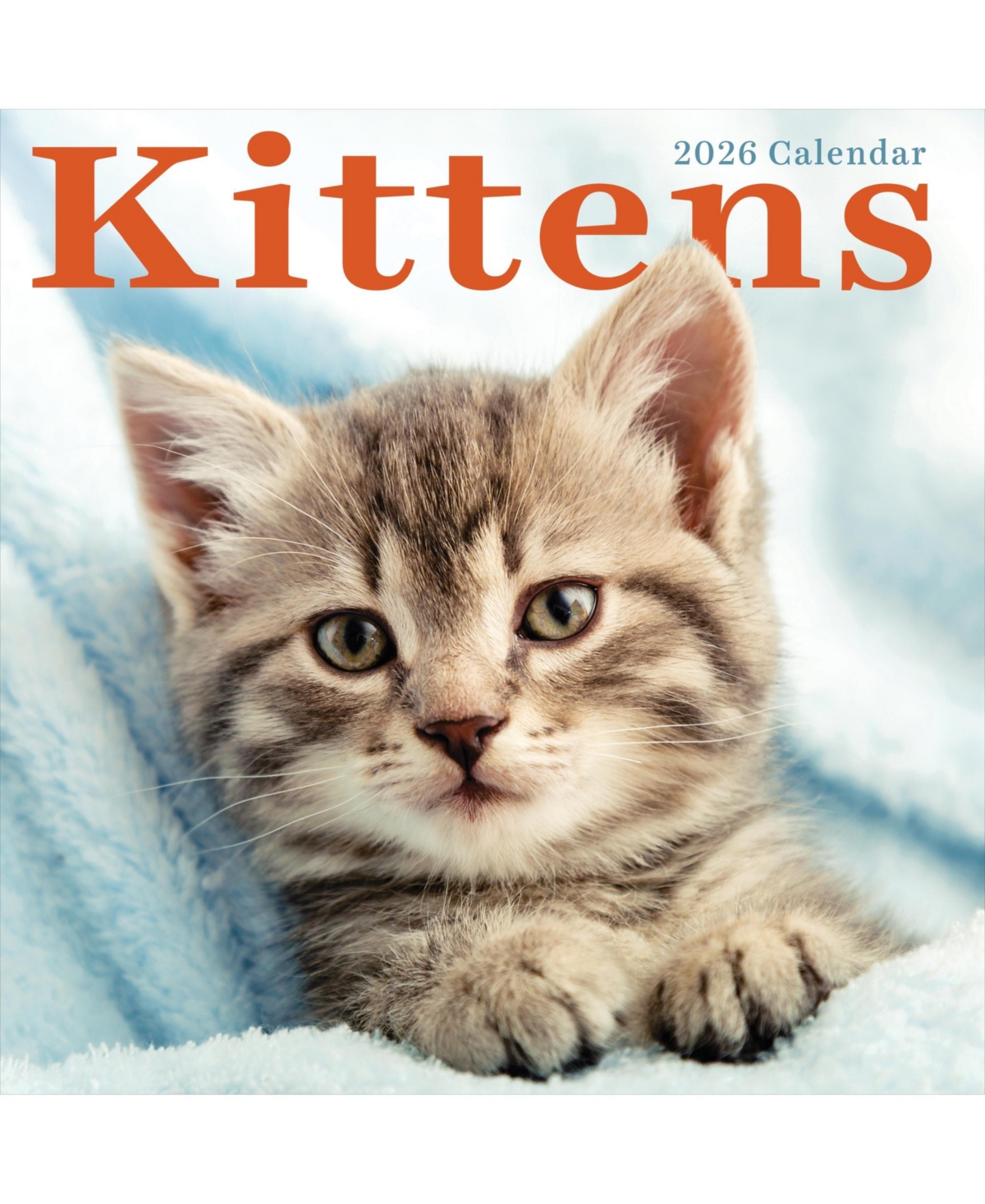 2026 Kittens Wall Calendar - Multicolor