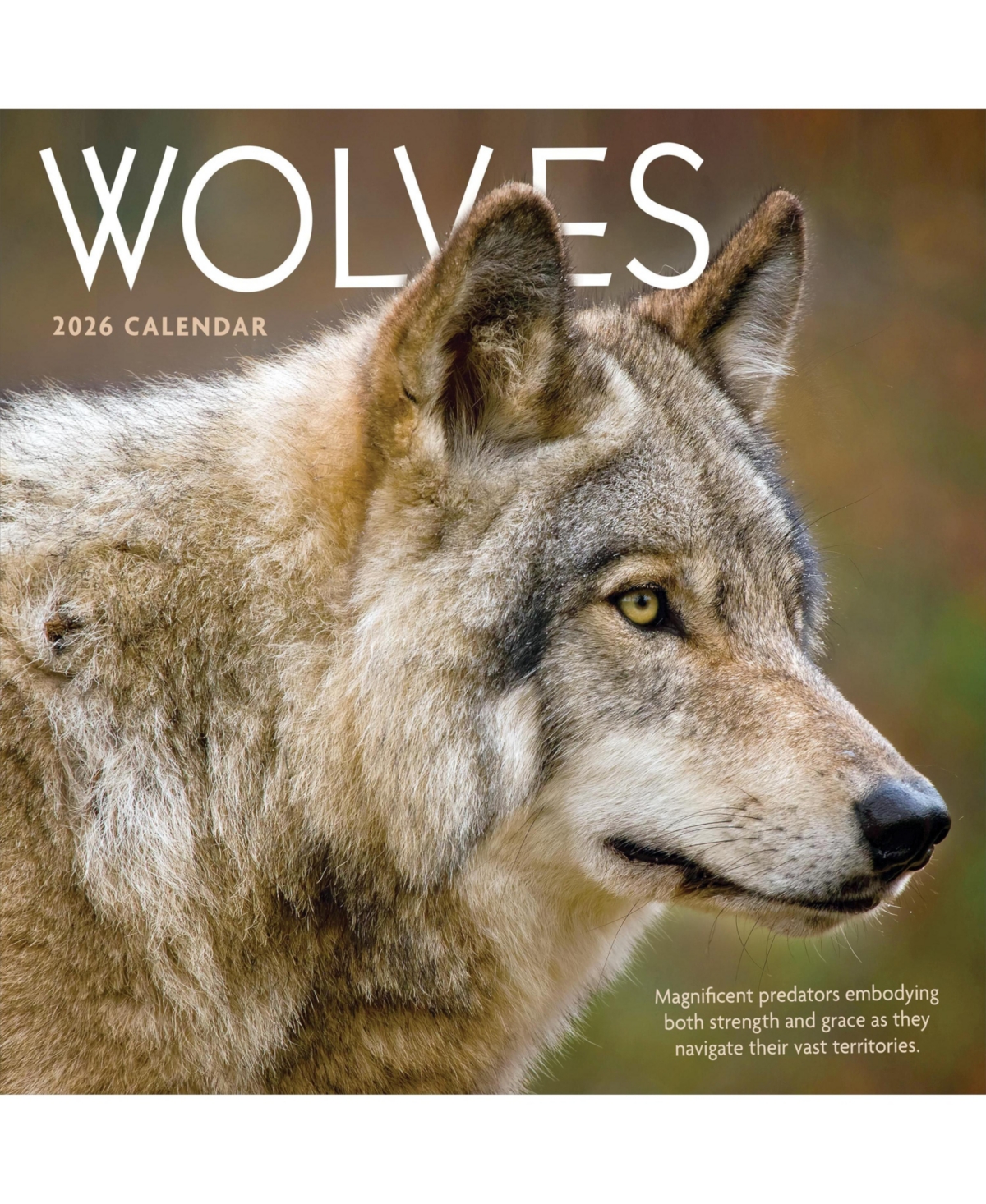 2026 Wolves Wall Calendar - Multicolor