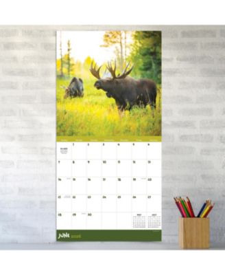 2026 Wild Wall Calendar