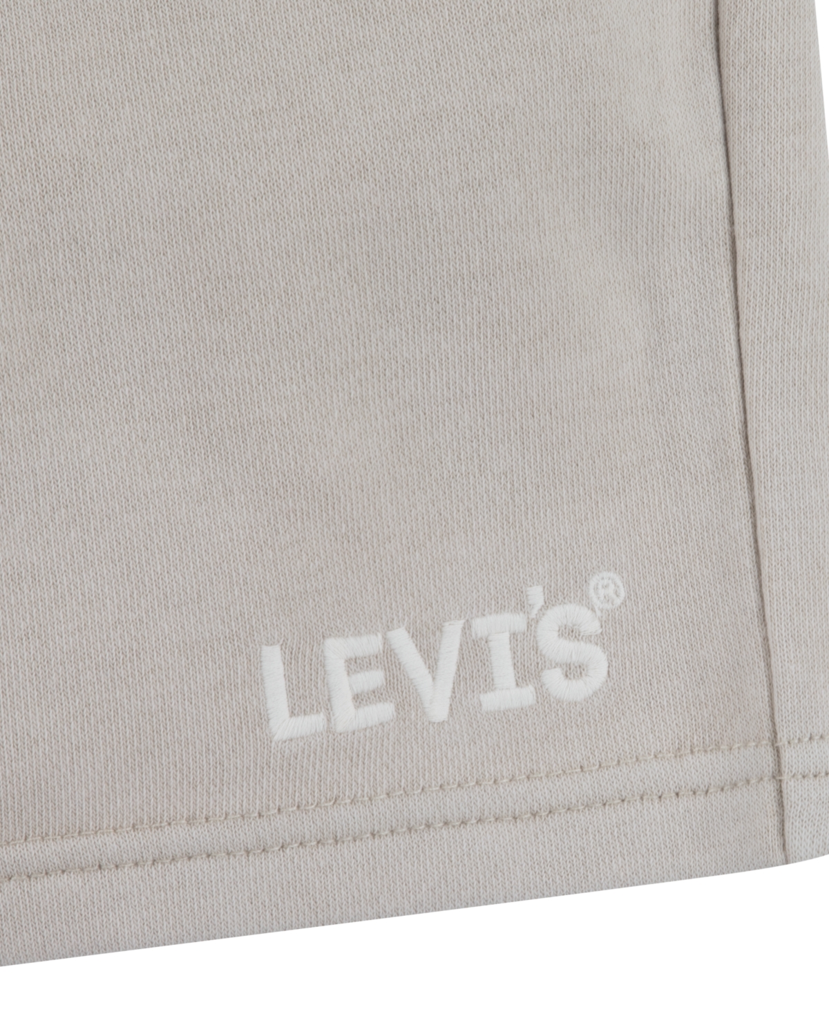 Levi's Big Boys Lived In Shorts In Gray