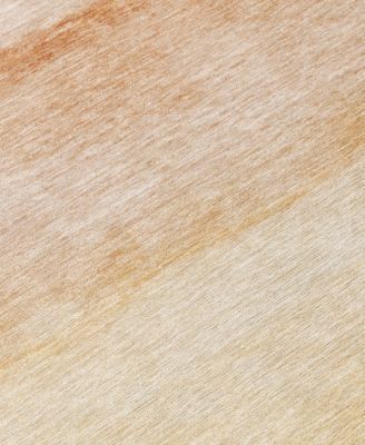 Chantille Machine Washable ACN1253 2'3"x7'6" Runner Area Rug