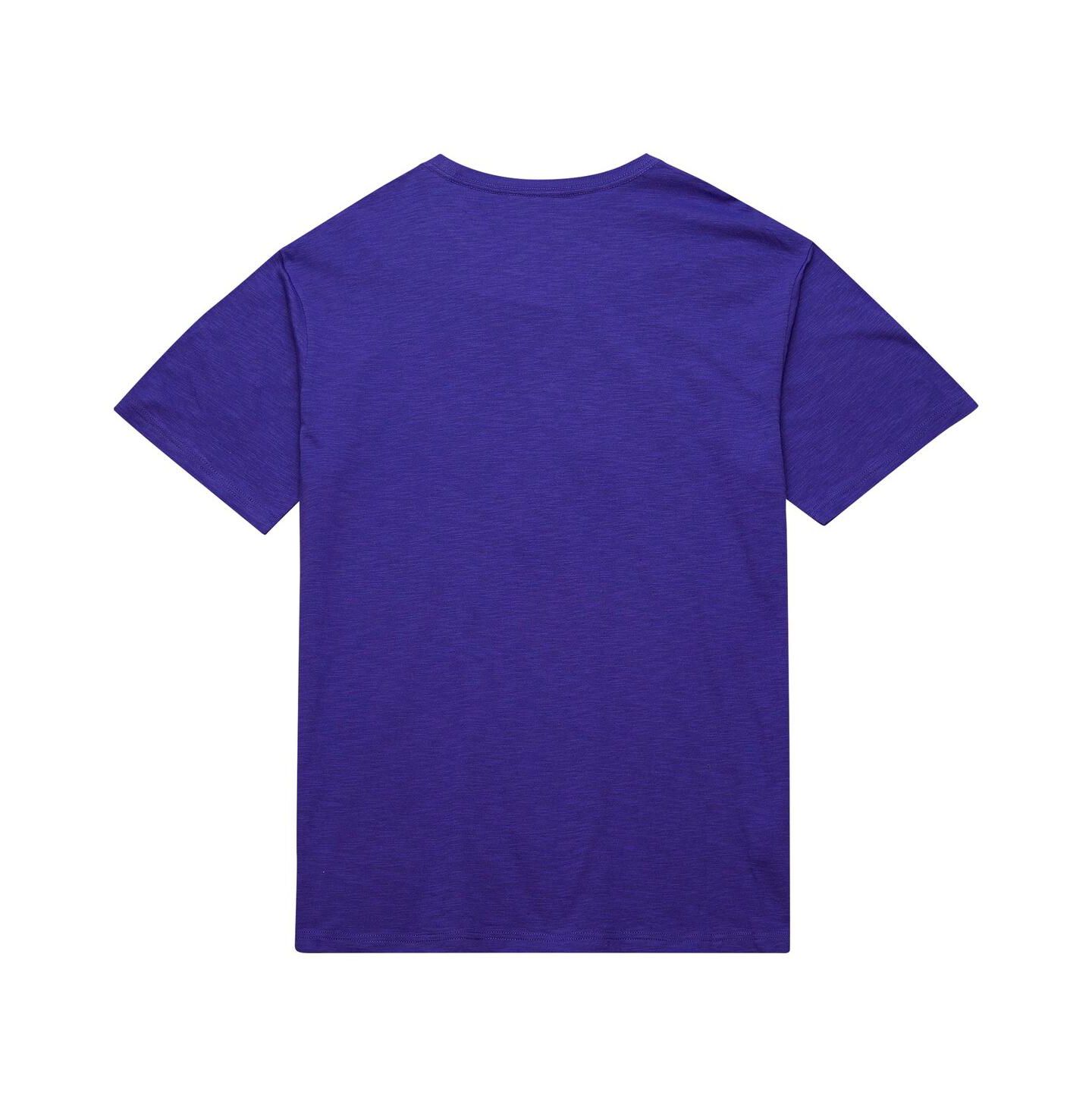 Мужская футболка Mitchell & Ness Purple Phoenix Suns Hardwood Classics Felt Applique Slub — фото 2