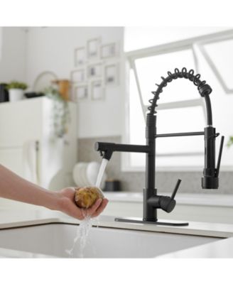 Contemporary Single Handle Pull-Down Spring Faucet with Sprayer and Deck Plate Commercial Kitchen Faucet