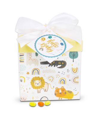 Baby Gift Box, 4 Pieces