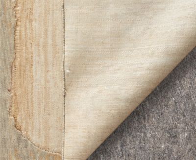 Jaxson 39PXF 2'x3' Area Rug