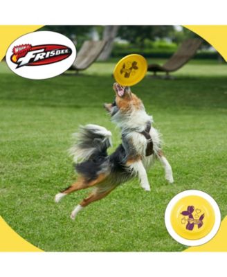 Frisbee Fastback Flying Disc, 9.35 Inch Dog-friendly Lightweight Toy for Professional Players - 100g