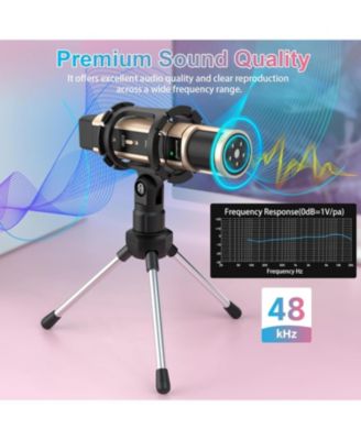 Studio Condenser Microphone with Stand, Built-in Sound Card, Echo Recording for Phone, PC, YouTube, Karaoke, Live Stream (Gold)