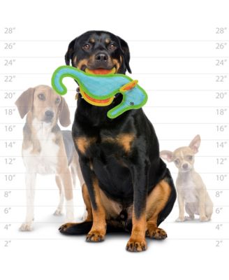 Seahorse, 2-Pack,  Durable Plush Squeaky Dog Toy