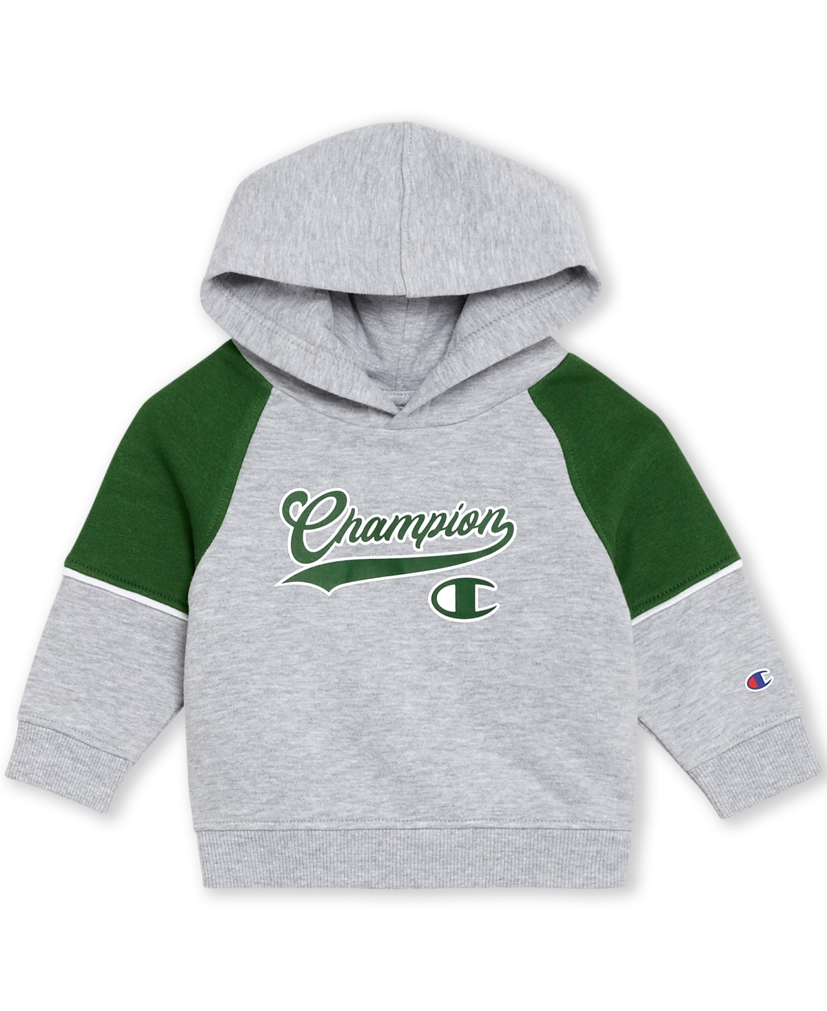 Champion Baby Boys 2-piece Hoodie And Joggers Set In Gray