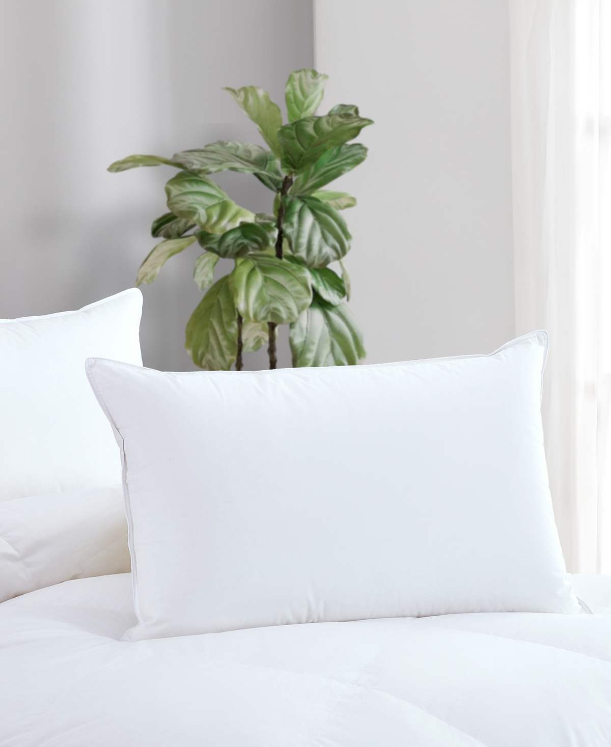 Avocado 100% Cotton Cover Down Pillow