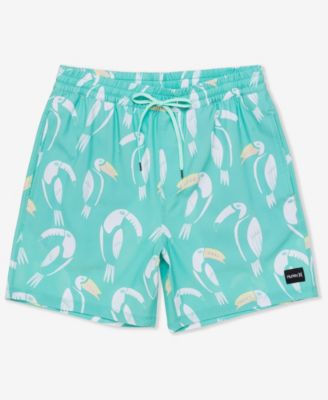 Men's Cannonball Volley Boardshorts