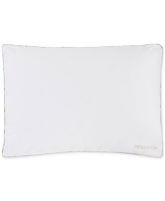 Colossal Oxbow 3" Gusseted 2-Pack Pillow, King