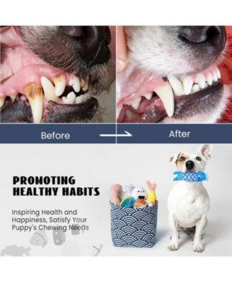 10 PCS Sushi Toys with Takeout Bag,Plush Squeaky Dog Toy Set,Cute Stuffed Pet Toys,Puppy Chew Toys,For Small to Medium Dog,Foodie Series toy