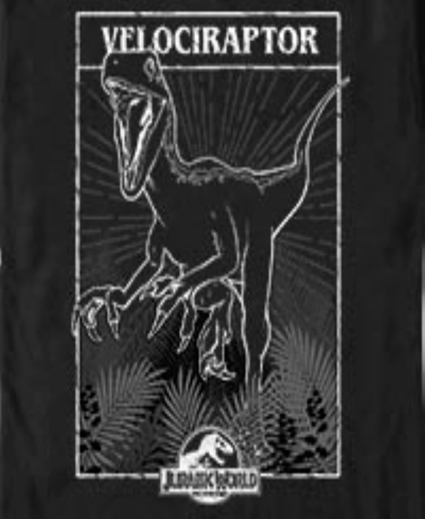 Мужская футболка Fifth Sun Velociraptor Tarot Short Sleeve, цвет: Чёрный — фото 3