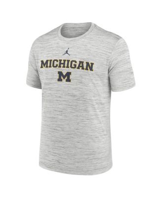 Men's Gray Michigan Wolverines 2025 Sideline Velocity Performance T-Shirt