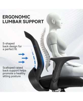 Ergonomic Office Chair Mesh Swivel Task Chair with Lumbar & Back Support