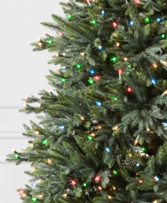 7.5 ft Pre-Lit Colorado Mountain Spruce Tree