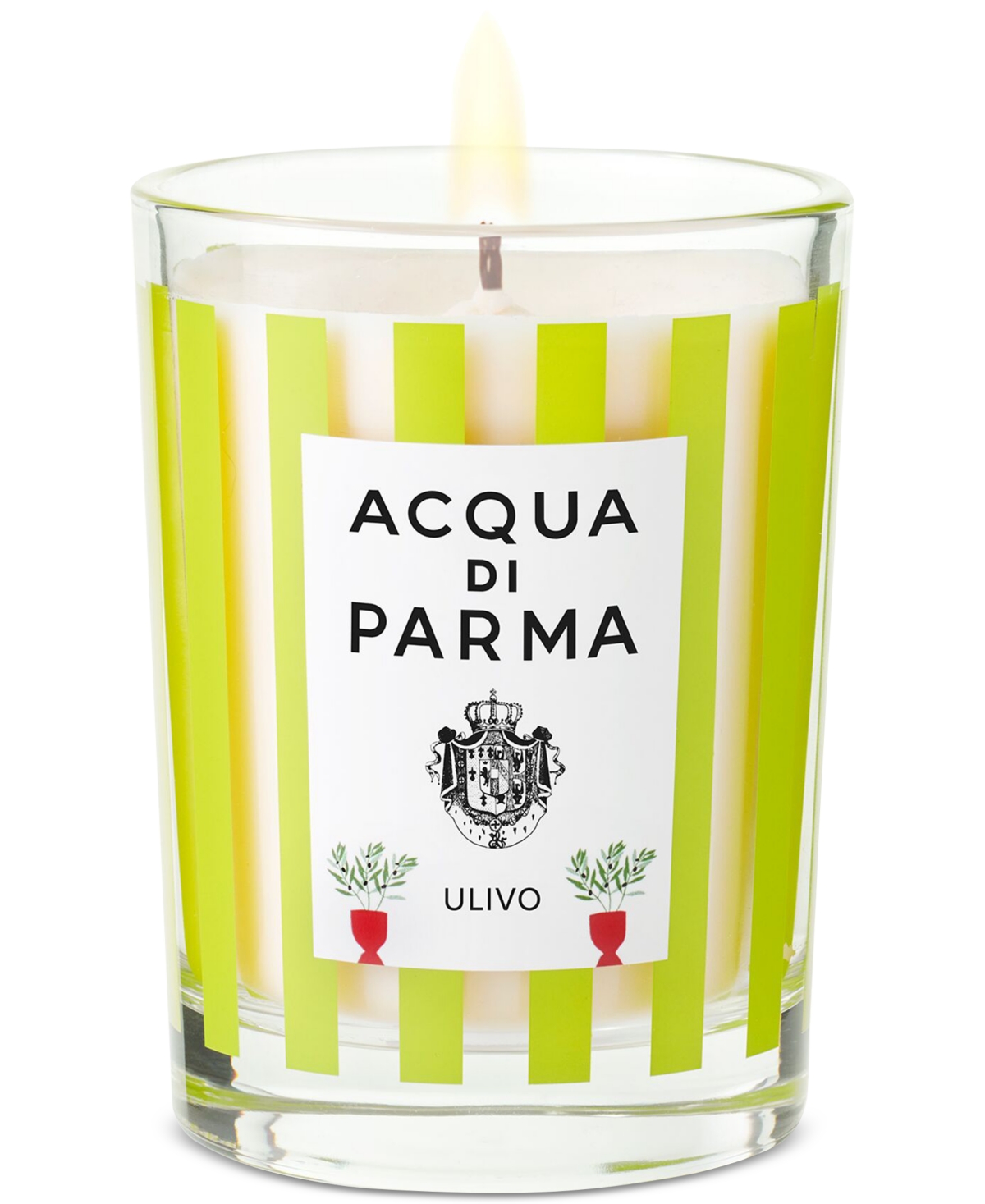 Ulivo Scented Candle, 7 oz.