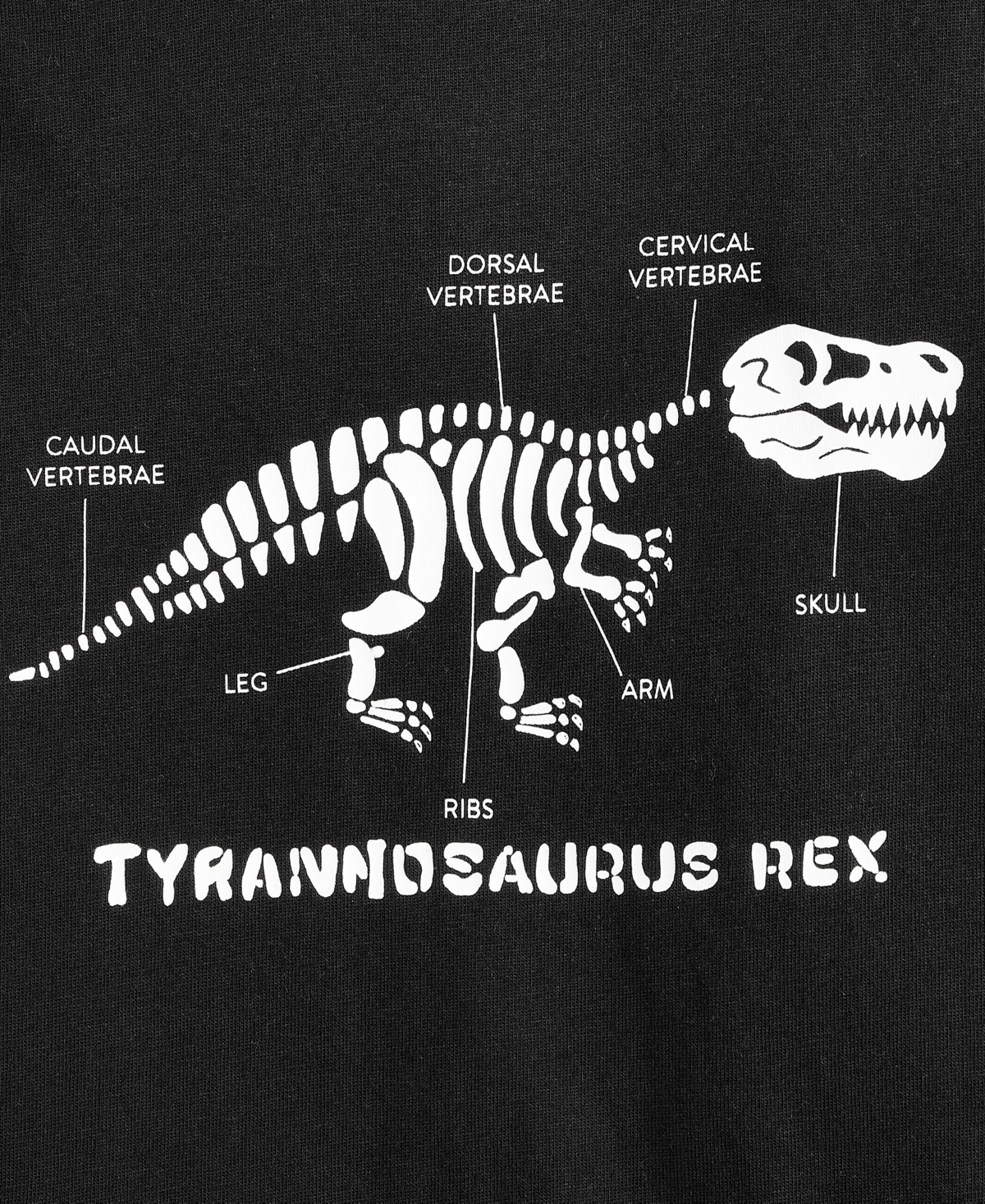 Epic Threads Toddler Boys T-rex Twofer T-shirt In Black