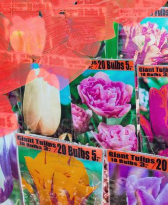 La Tulipe Body Lotion, 7.6 oz.