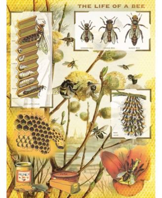 Bees & Honey 1000 Piece Puzzle