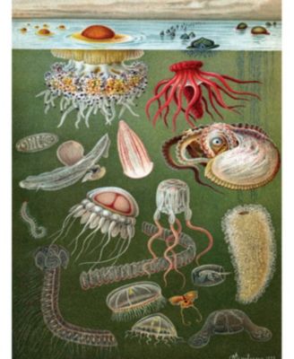 Under the Sea 1000 Piece Puzzle