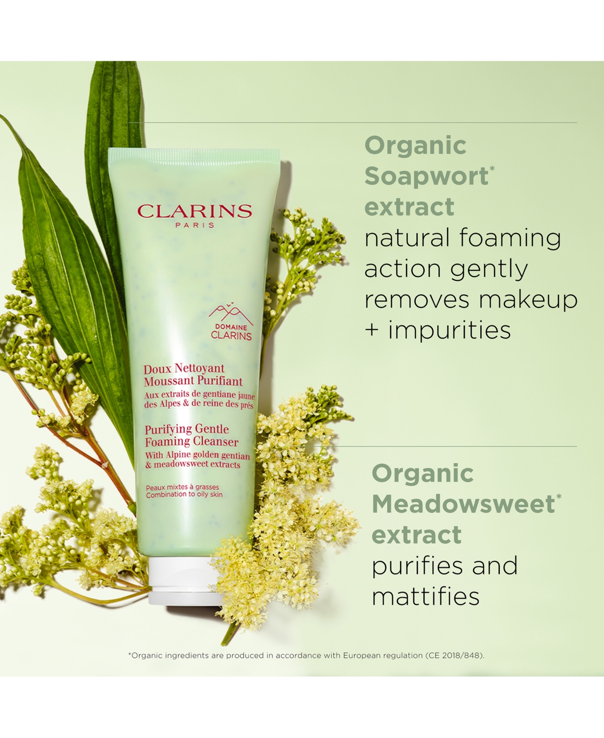 Clarins Purifying Gentle Foaming Face Cleanser, 4.2 Oz. In Transparent