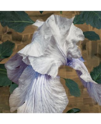 Eyes Closed Eau de Parfum Spray, 3.3 oz.