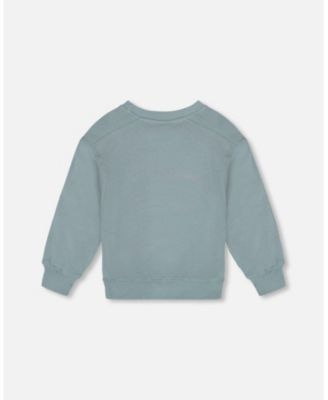 Toddler Boys Animated Print French Terry Sweatshirt Sage Green - Toddler|Child