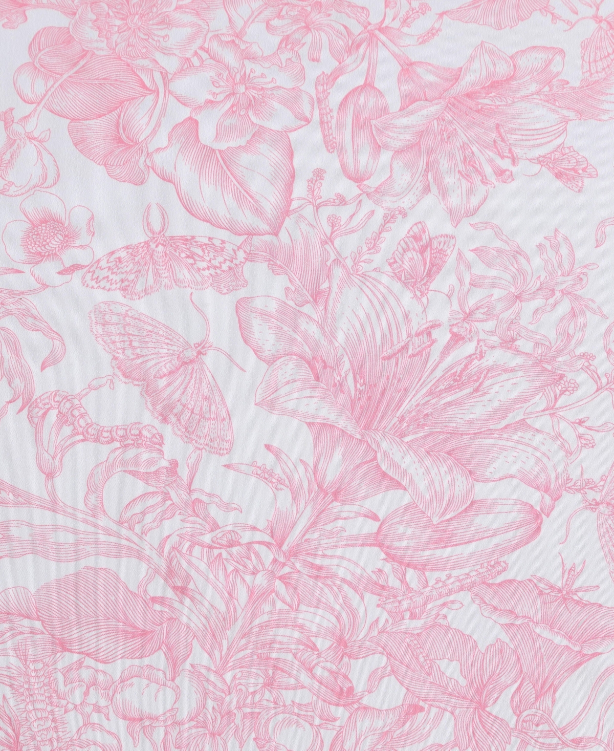 Betsey Johnson Silky Microfiber Printed 4-pc. Sheet Set, King