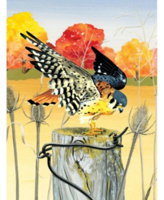 American Kestrel 1000 Piece Puzzle