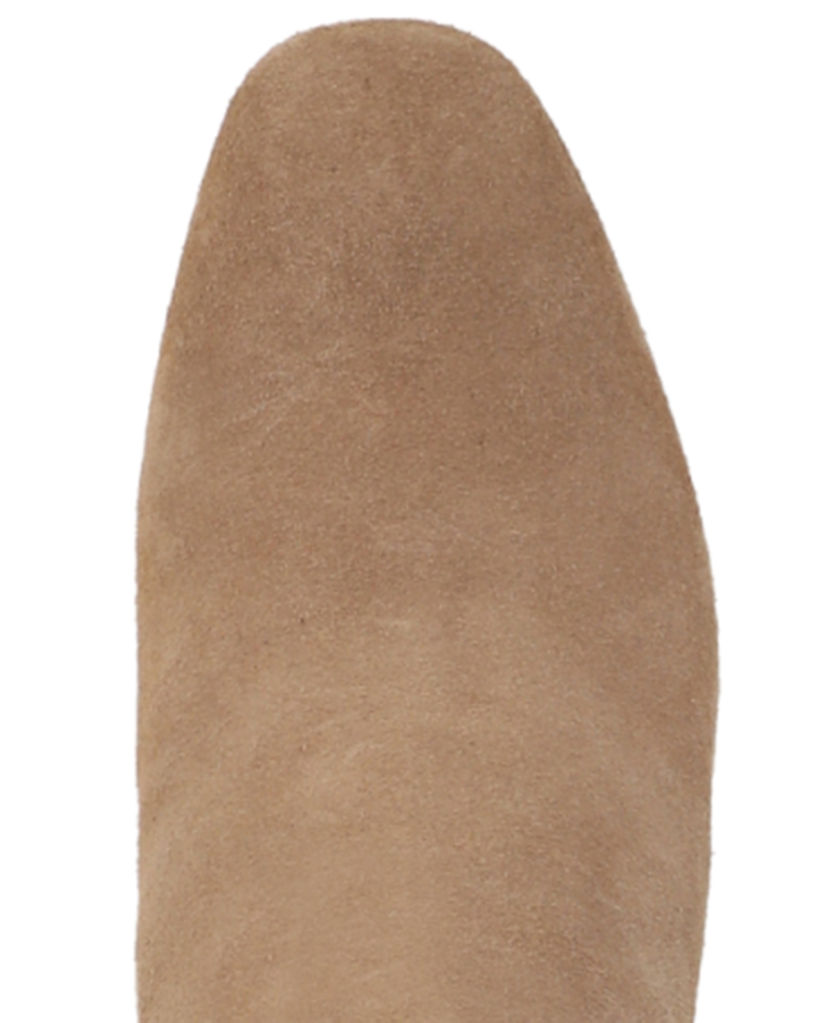 Circus Ny By Sam Edelman Billie Knee High Boot In Neutral