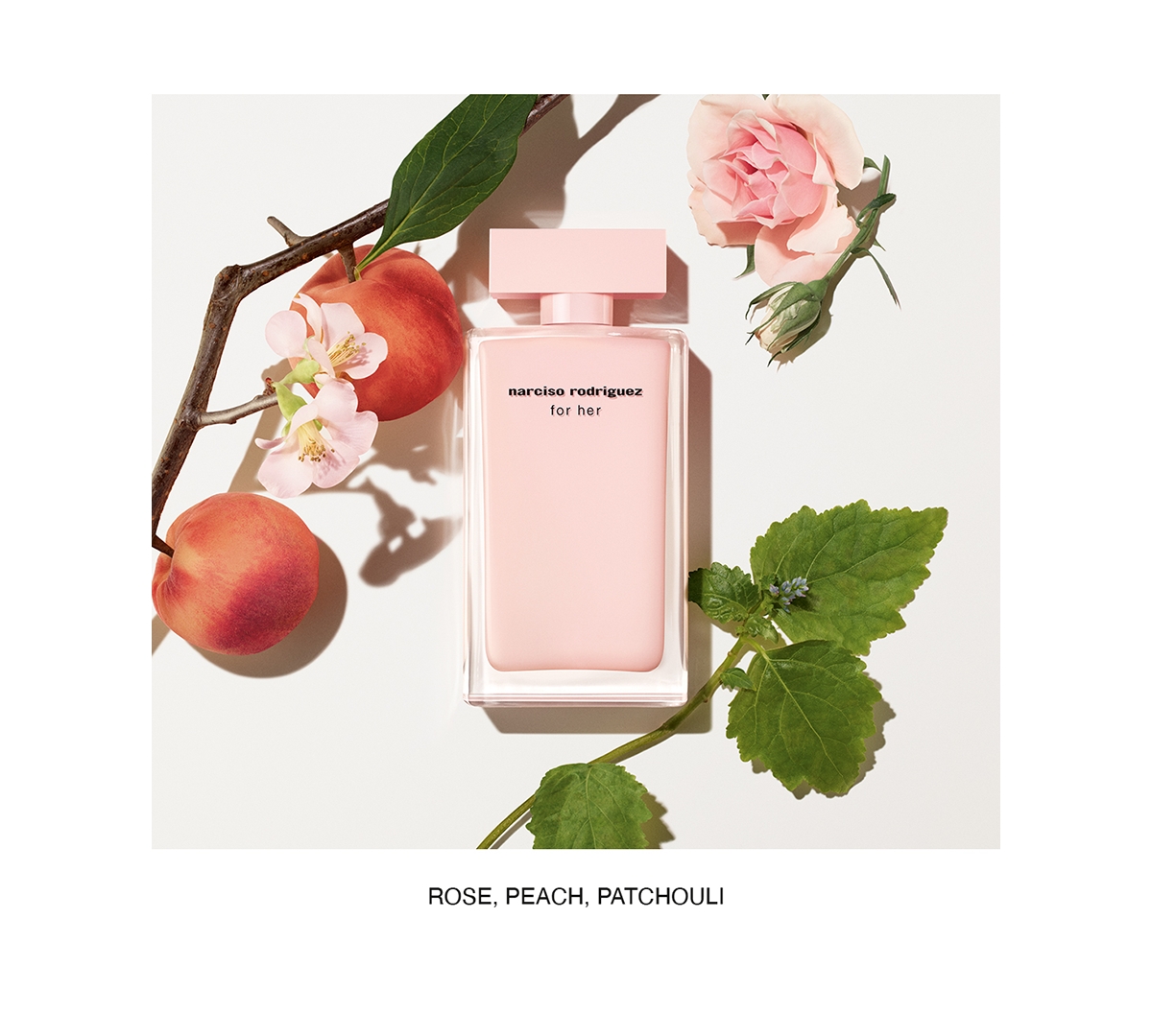 Narciso Rodriguez Ladies For Her Gift Set Fragrances 3423222092443 In Transparent