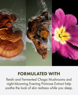 Dr. Andrew Weil For Origins Mega-Mushroom Overnight Recovery Cream, 1.7 oz.