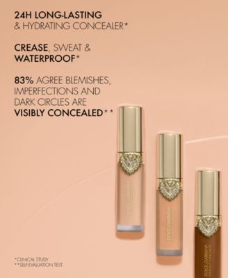 Everlast Concealer