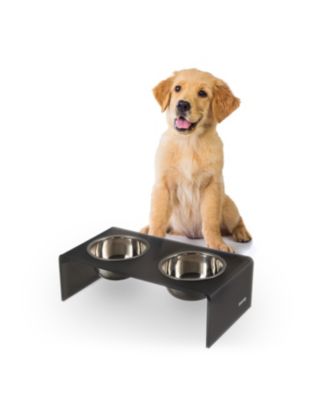 Keaton Modern Acrylic Rectangular Elevated Pet Feeder with 2-Stainless Steel Bowls
