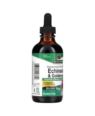 Echinacea & Goldenseal  Alcohol-Free  -  4 fl oz (120 ml)