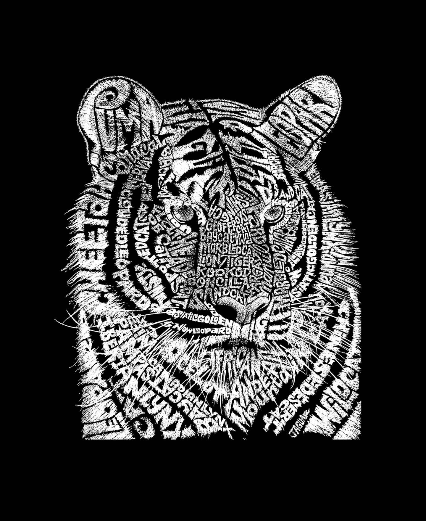 Женская футболка LA Pop Art Plus Size Big Cats Word Art, цвет: Чёрный — фото 2