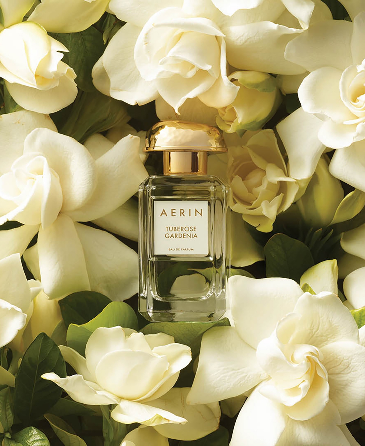 Aerin 2-pc. Tuberose Gardenia Eau De Parfum Gift Set In Transparent