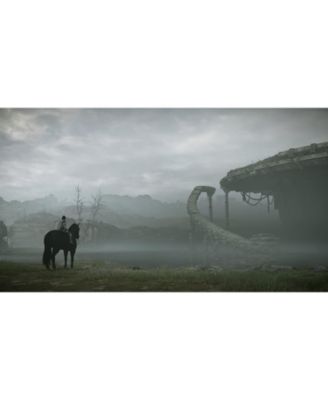 COMPUTER ENTERTAINMENT Shadow of the Colossus - PS4