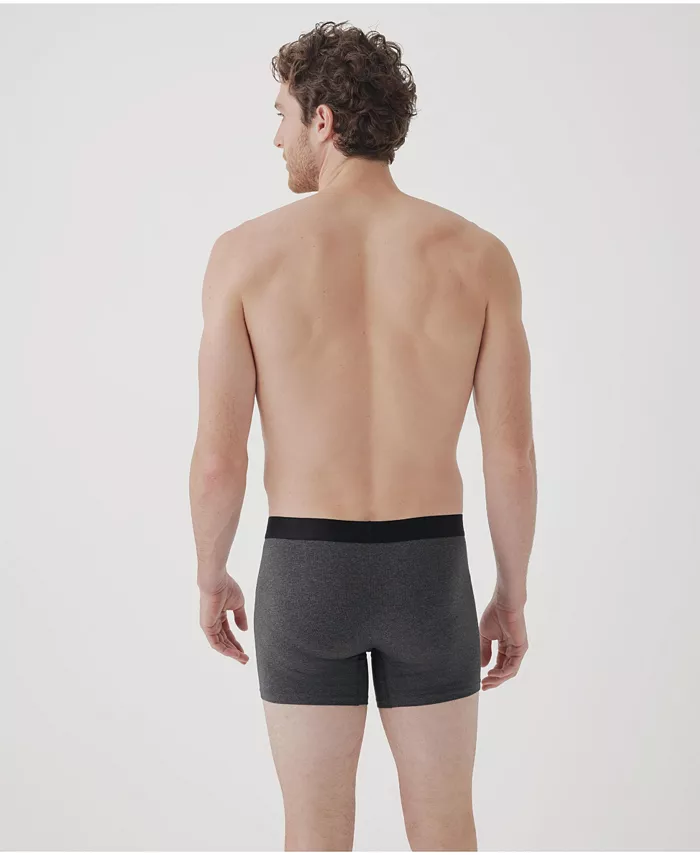 Men's Organic Cotton Everyday Boxer Brief 4-Pack - thumbnail 3